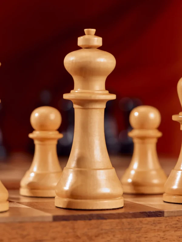 The World Chess PRO Edition 14" Travel Set