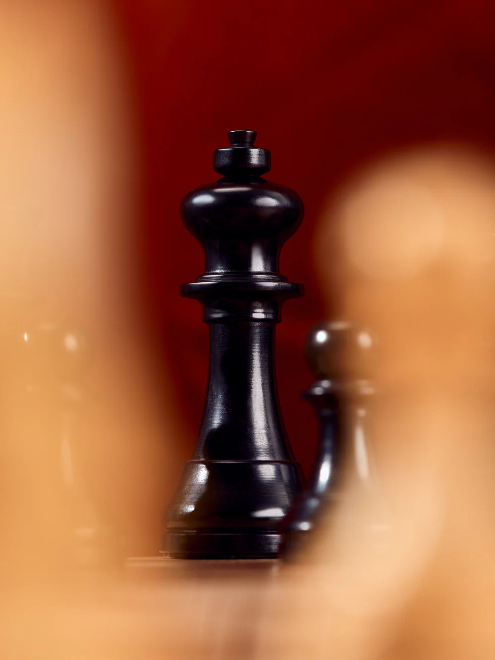 The World Chess PRO Edition 14" Travel Set